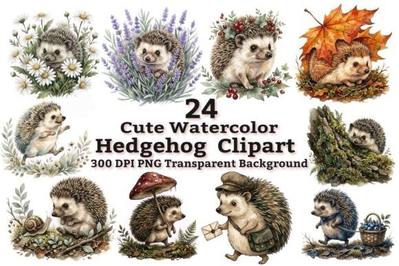 Download Cute Watercolor Hedgehog Clipart Bundle - Bundle Collection