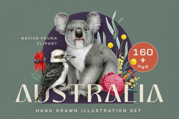Download Australia Fauna Watercolor Clipart - Fauna Collection