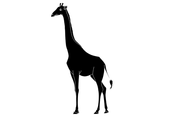 Download Black Giraffe Sillhouette - Giraffe Collection