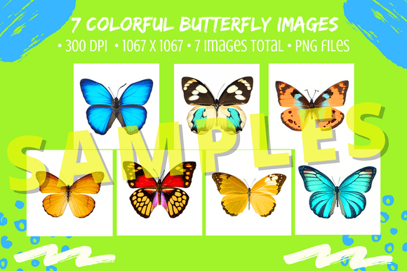 Download 7 Pretty Butterflies Color Image Bundle - Bundle Collection
