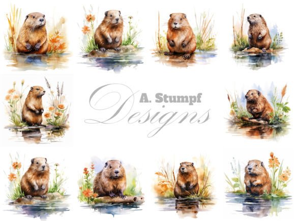 Download Beaver Clipart Watercolor Animal Bundle - Bundle Collection